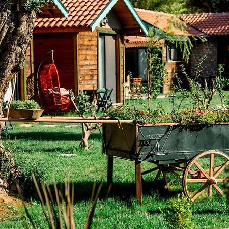 포카 Serender Bungalov B&B 외부 사진
